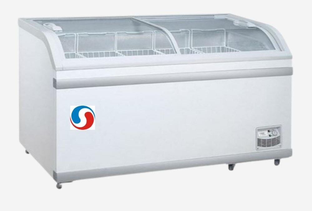 Curve Glass Parlour Freezer